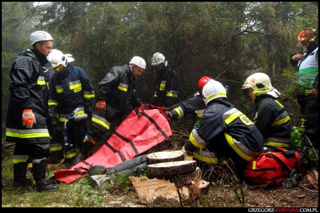 Ćwiczenia - Jałowiec 2013